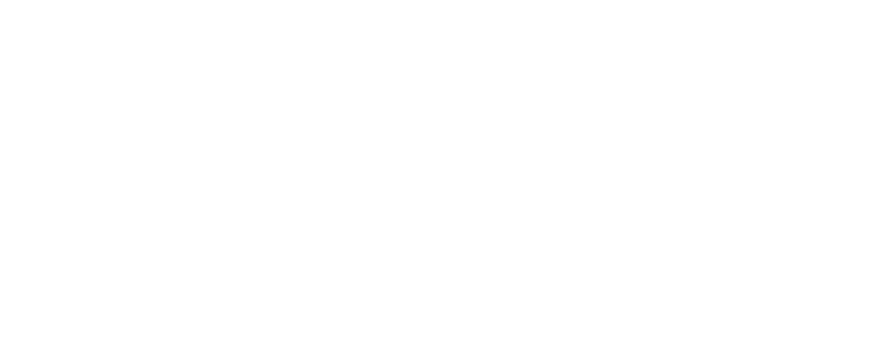Light & Wonder
